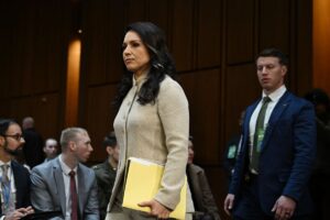 Gabbard-tells-Senate-panel-only-Trump-can-determine-imminent-threats.jpg