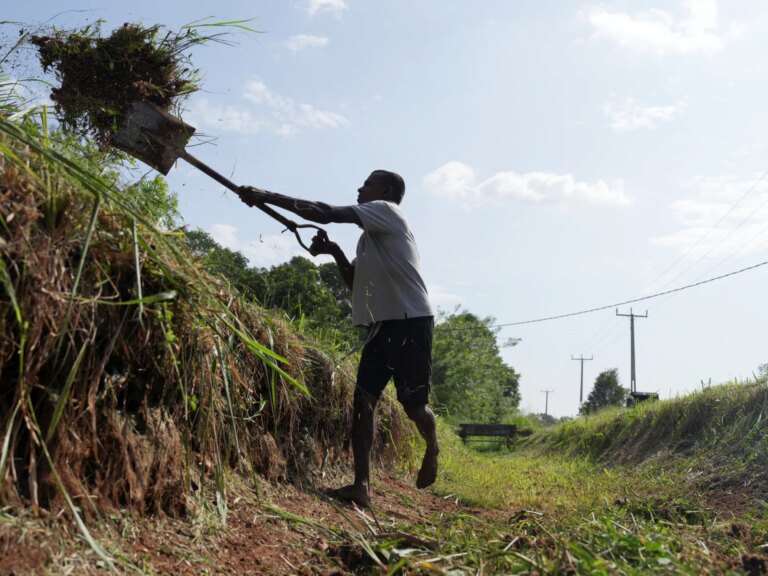 2025-11-18T080746Z_1270675454_RC2QKHANI9XQ_RTRMADP_3_SRI-LANKA-FARMING-1776954079.jpg