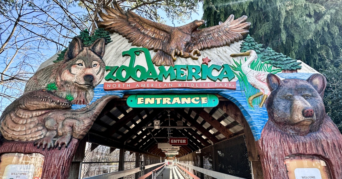 260405-zoo-america-hershey-park-vl-1237p-7fbb7b.jpg