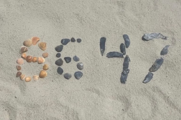 Comey-Shells.png