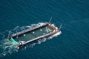 Germany_Whale_Rescue_46276.jpg