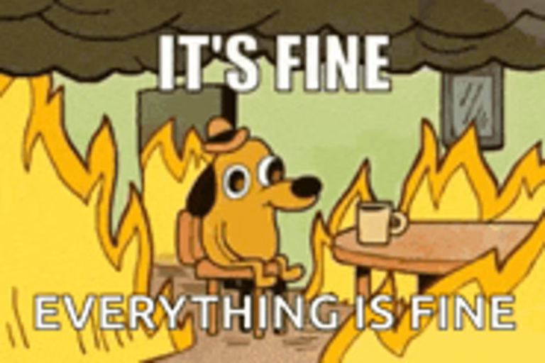 Its-fine-everything-is-fine-meme.png