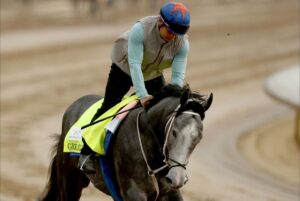 Silent-Tactic-scratched-from-Kentucky-Derby-Great-White-now-in.jpg
