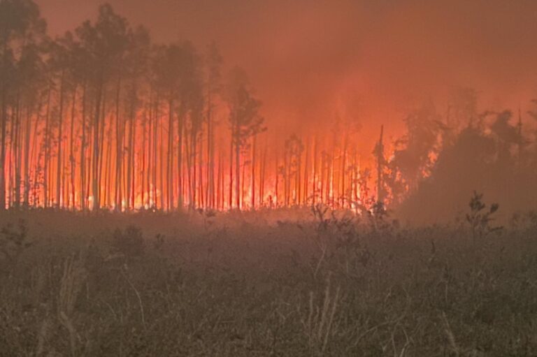 Wildfires-in-Georgia-burn-thousands-of-acres-amid-extreme-drought.jpg