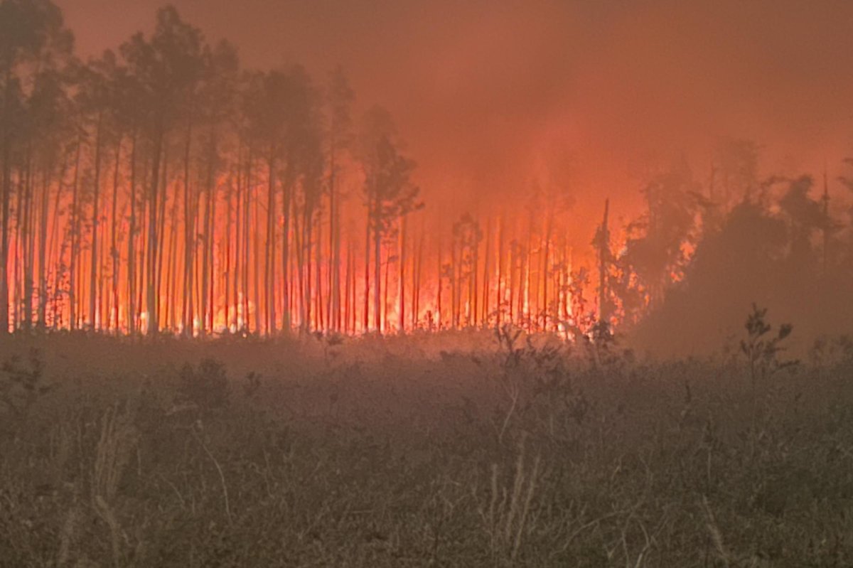 Wildfires-in-Georgia-burn-thousands-of-acres-amid-extreme-drought.jpg