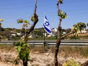 2026-05-07T140910Z_473451188_RC274LA879P6_RTRMADP_3_ISRAEL-PALESTINIANS-WEST-BANK-SETTLEMENTS-177835.webp