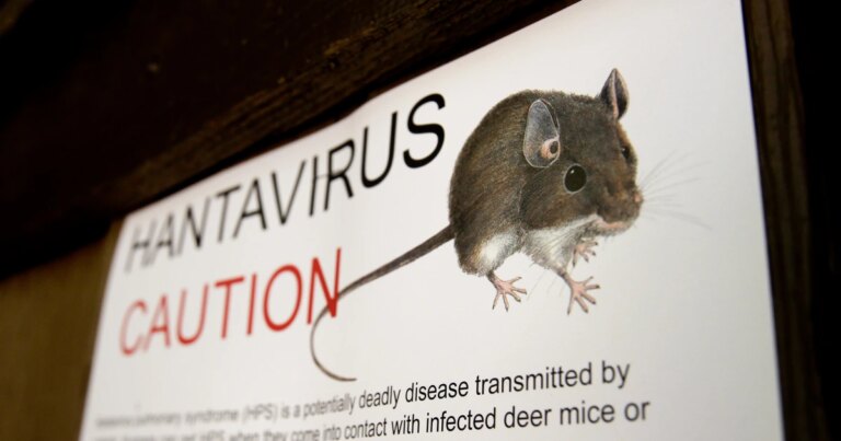 260503-hantavirus-ww-1853-bbe87f.jpg