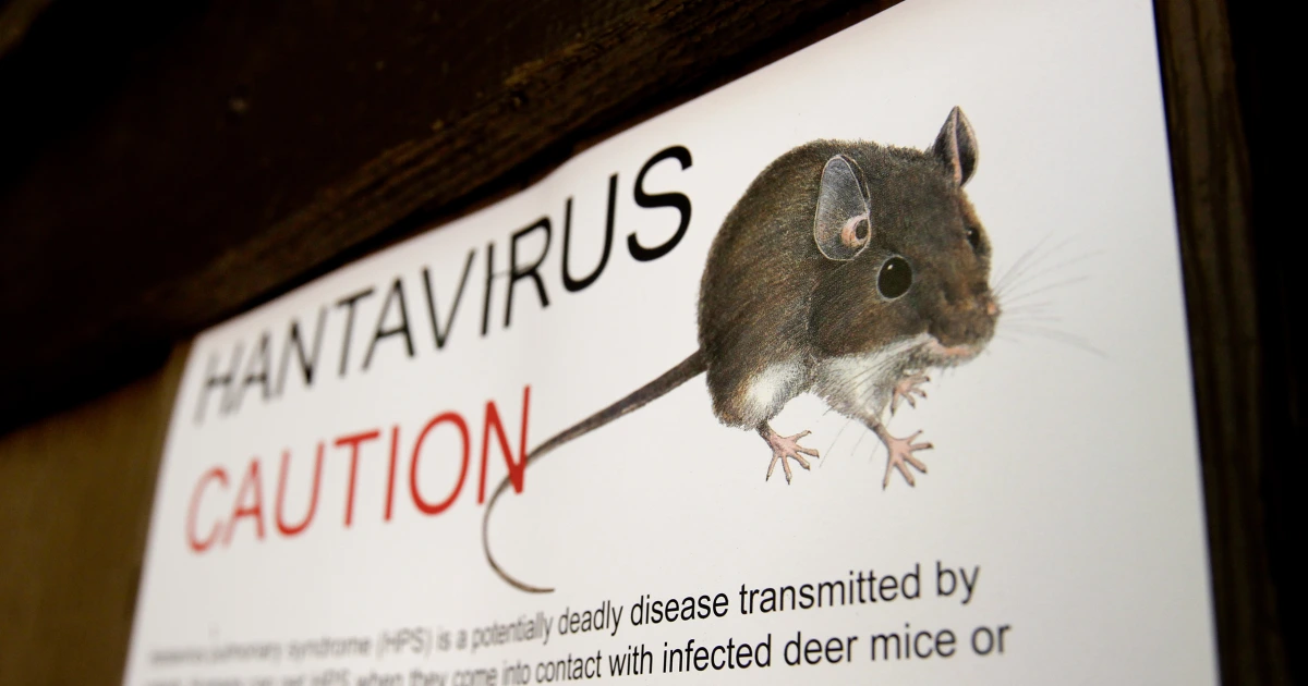 260503-hantavirus-ww-1853-bbe87f.jpg