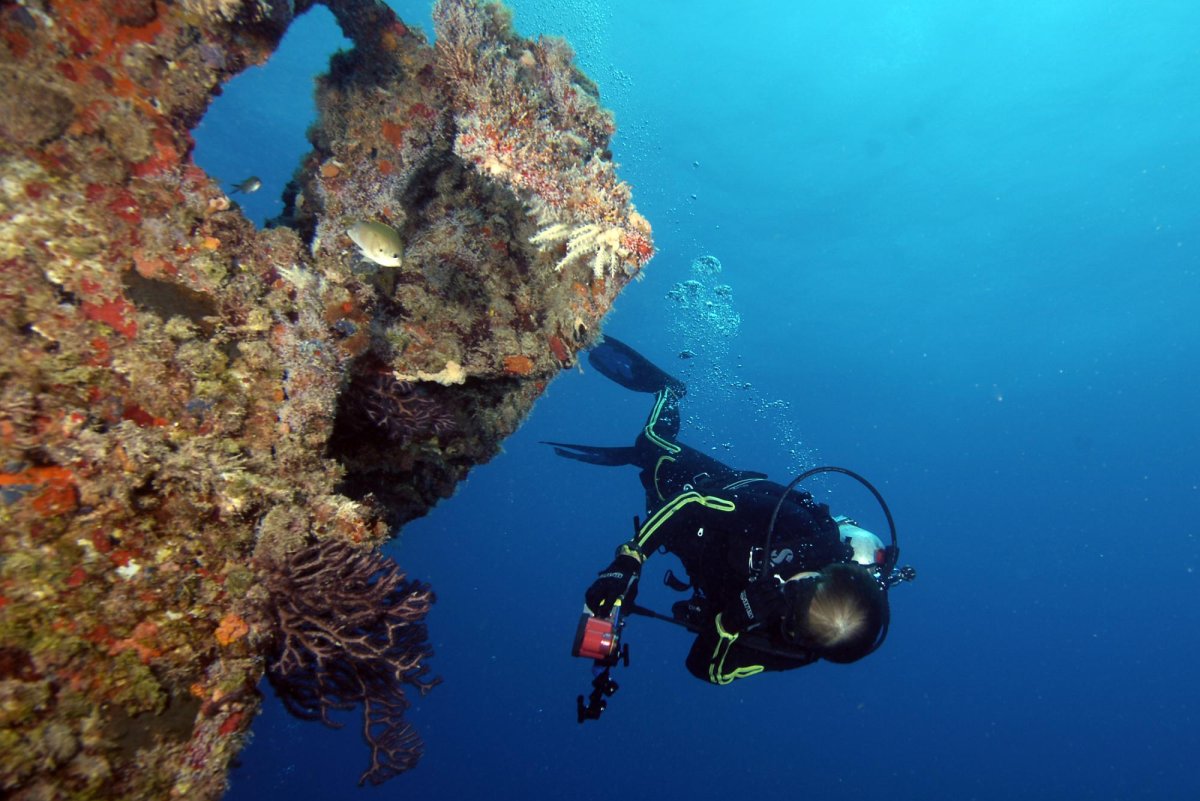 5-Italians-from-Genoa-University-killed-in-Maldives-diving-incident.jpg