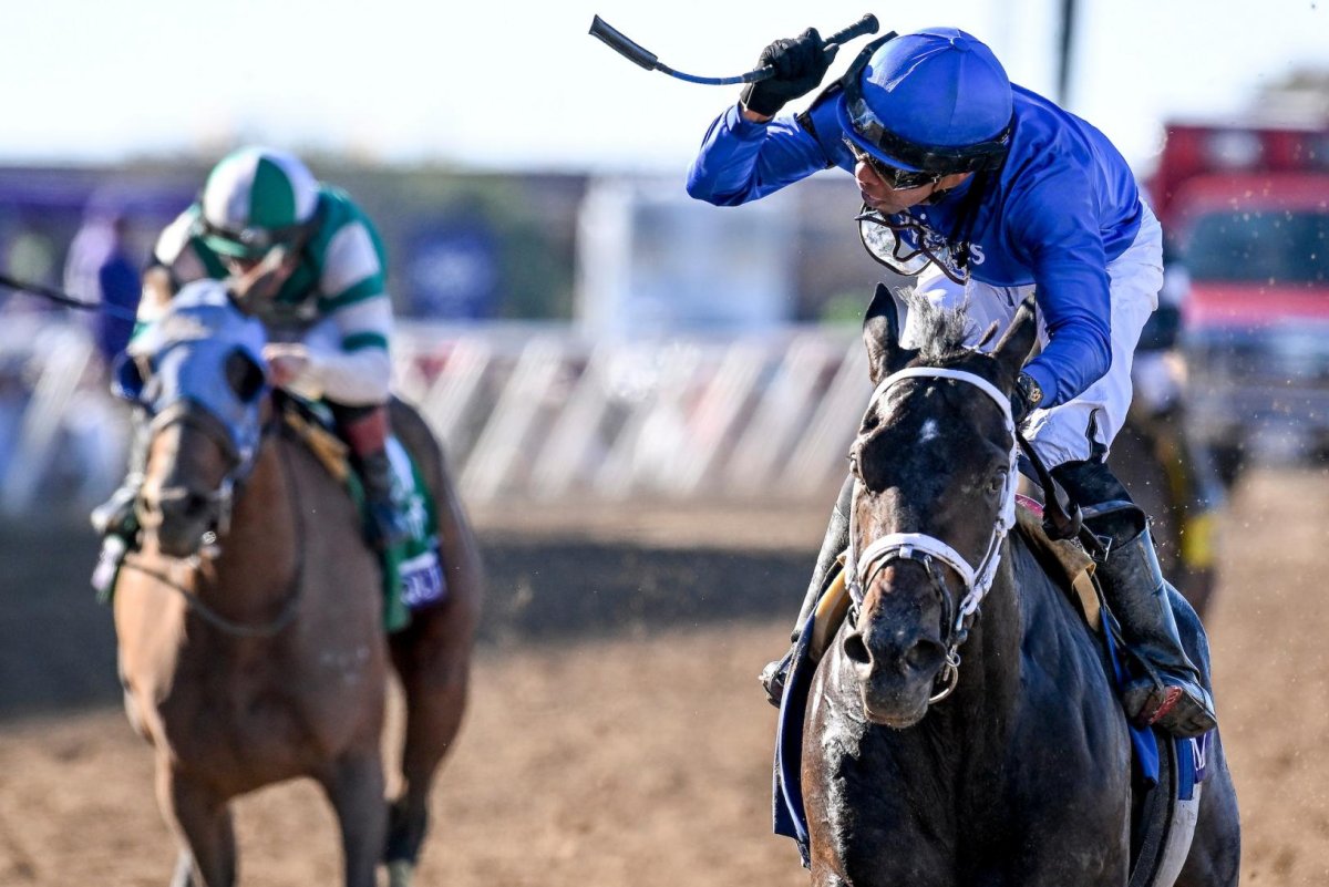 High-class-contests-in-US-France-Japan-mark-weekend-horse-racing.jpg