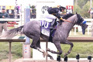 Napoleon-Solo-wins-Preakness-Stakes.jpg