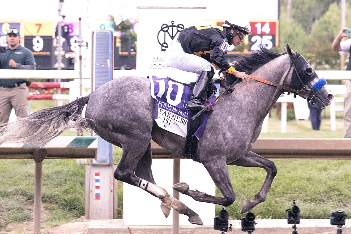 Napoleon-Solo-wins-Preakness-Stakes.jpg
