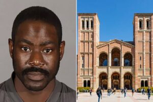 UCLA-split-copy.jpeg