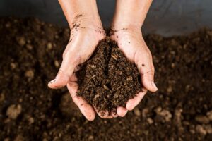 dirt-in-hands.jpeg