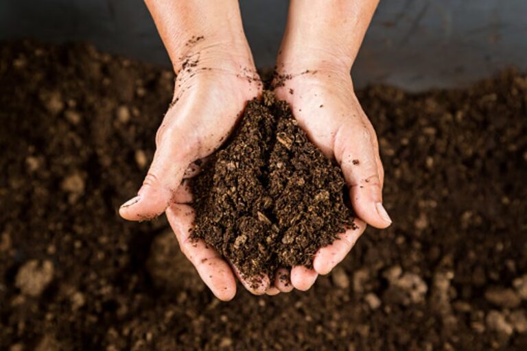 dirt-in-hands.jpeg
