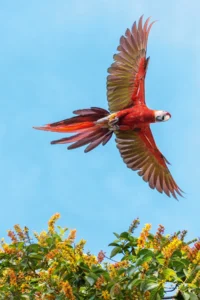 https2F2Fmedia.zenfs_.com2Fen2Fnational_geographic_articles_1492F73eb7d79e5b3a89fdce3c767f15644.webp