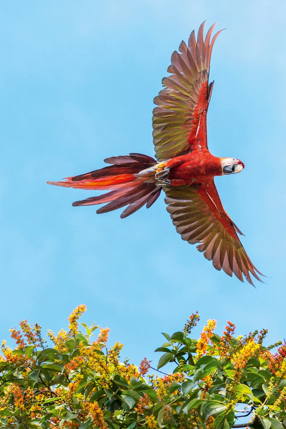 https2F2Fmedia.zenfs_.com2Fen2Fnational_geographic_articles_1492F73eb7d79e5b3a89fdce3c767f15644.webp