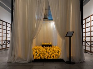 reuters_6a12dc6c-1779620972.jpg