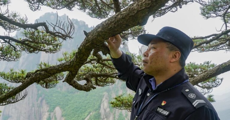 180814-huangshan-china-dh-6f5dde.jpg