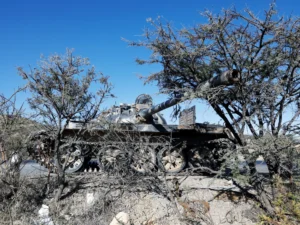 2021-03-26T220144Z_2028567613_RC2AJM9WSSBS_RTRMADP_3_ETHIOPIA-CONFLICT-ERITREA-KILLINGS-1782368686.j.webp