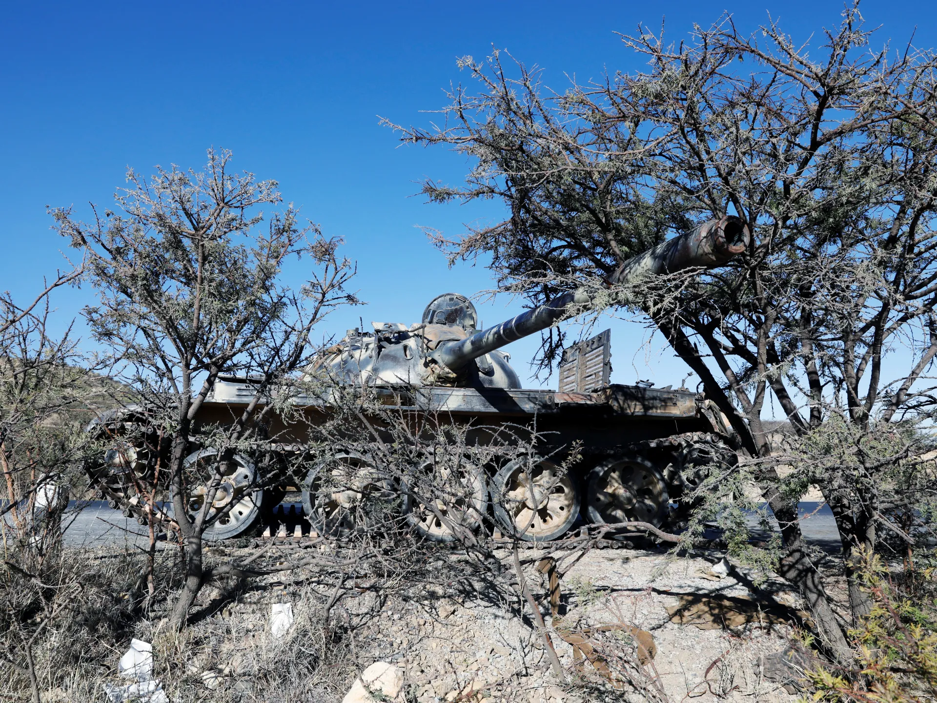 2021-03-26T220144Z_2028567613_RC2AJM9WSSBS_RTRMADP_3_ETHIOPIA-CONFLICT-ERITREA-KILLINGS-1782368686.j.webp