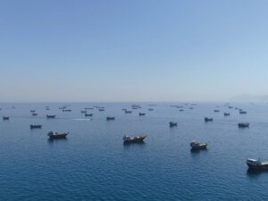 2026-06-10T172844Z_2100469173_RC2MPLA7QXUA_RTRMADP_3_IRAN-CRISIS-SHIPPING-OMAN-1781170834.jpg