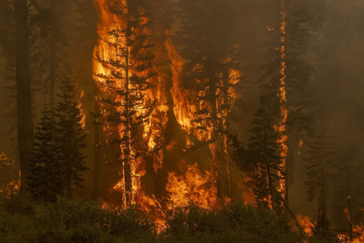 3-firefighters-killed-2-others-burned-battling-western-Colo-wildfire.jpg