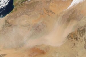 49-people-dead-in-Sahara-Desert-after-truck-breaks-down.jpg