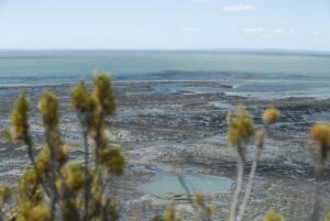 Chile-warns-of-new-criminal-routes-through-Strait-of-Magellan.jpg