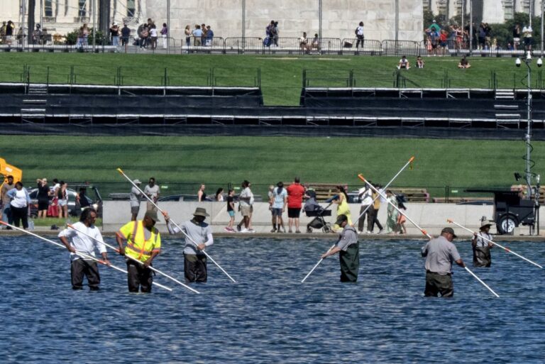 Court-document-Reflecting-pool-cut-with-sharp-knife.jpg