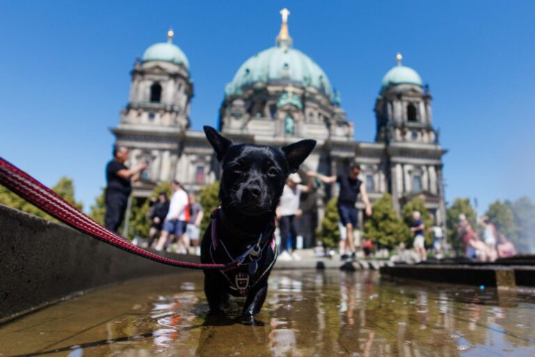 European-nations-break-more-records-amid-historic-heat-wave.jpg
