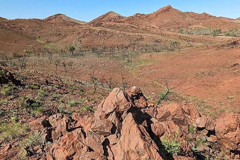 North-Pole-Dome-rocks-in-the-Pilbara-Region-of-WA.jpeg