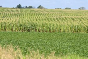Supreme-Court-shoots-down-cancer-lawsuits-against-Roundup-manufacturer.jpg