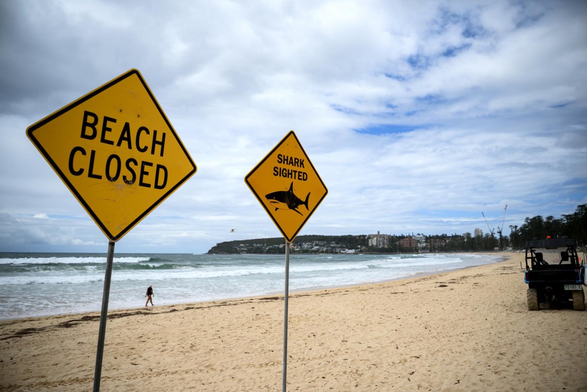 Woman-attacked-by-shark-in-Australia-saved-by-lifeguard.jpg