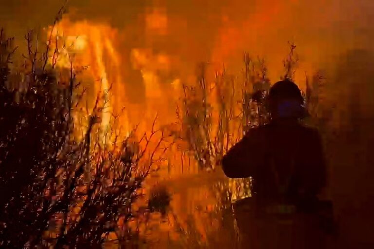 2026-07-16T100245Z_1050258331_RC2YEMA8Y6UW_RTRMADP_3_EUROPE-WEATHER-SPAIN-WILDFIRE.JPG