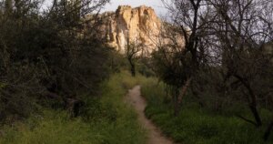 260707-Tonto-National-Forest-vsb-2322-bbe0f7.jpg