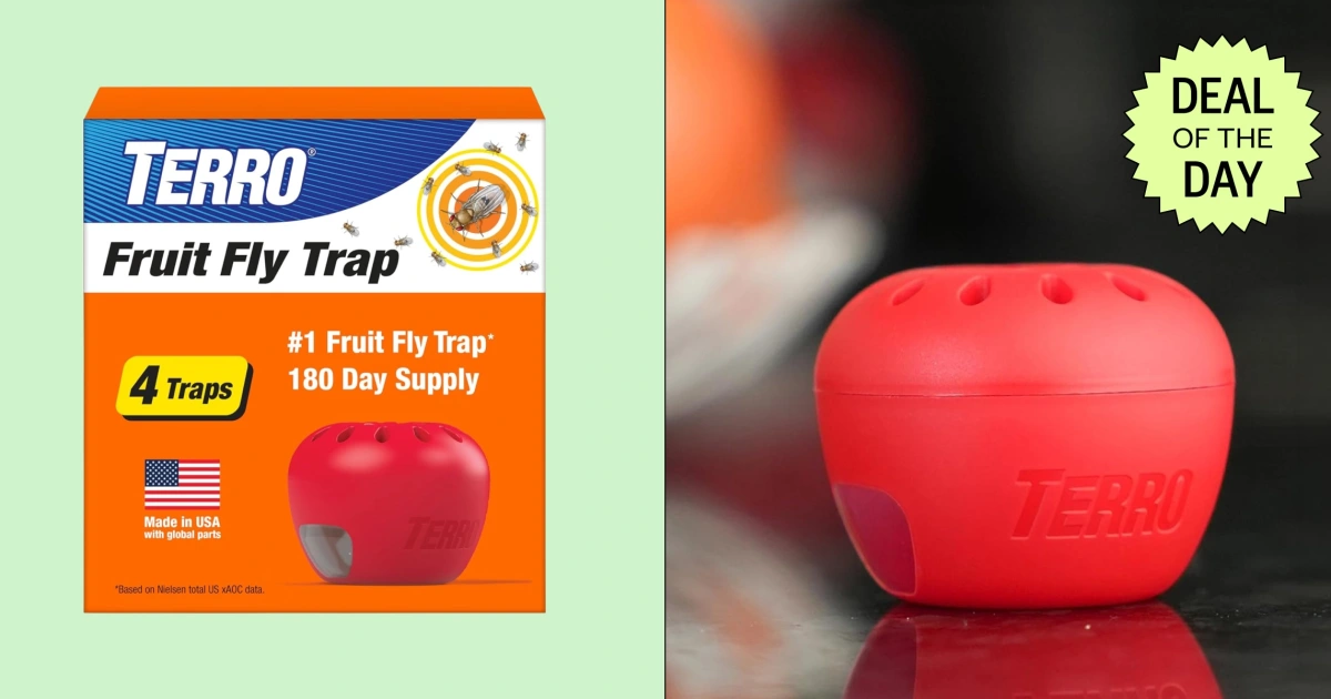 260717-dotd-terro-fruit-fly-traps-dj-main-815ae9.jpg