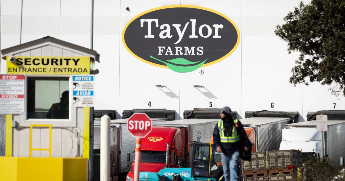 260720-taylor-farms-mn-1200-100be5.jpg