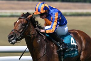 3-year-olds-clash-again-at-Saratoga-Breeders-Cup-bids-awarded.jpg