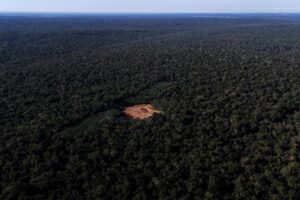 Amazon-rainforest-deforestation-hits-lowest-level-in-a-decade.jpg