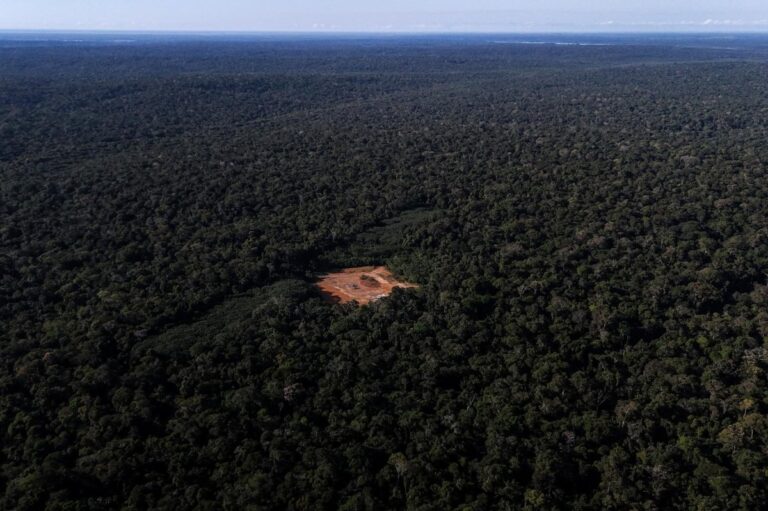 Amazon-rainforest-deforestation-hits-lowest-level-in-a-decade.jpg