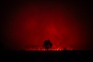 Flames-threaten-Bordeaux-as-deadly-wildfires-rage-in-France-and-Spain.jpg