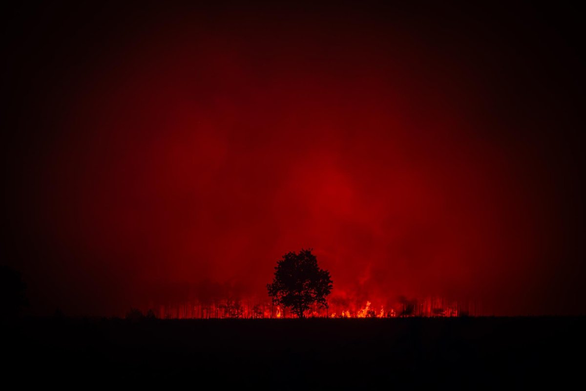 Flames-threaten-Bordeaux-as-deadly-wildfires-rage-in-France-and-Spain.jpg