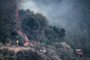France_Wildfires_2396_.jpg