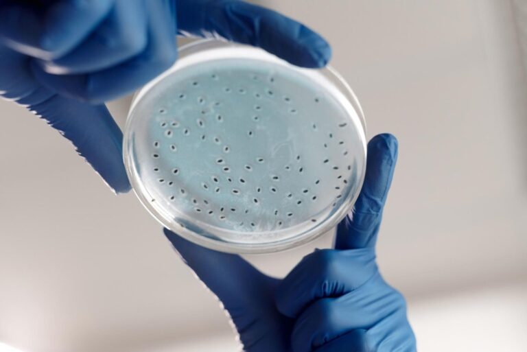 NYC-Legionnaires-disease-outbreak-jumps-to-14-confirmed-cases.jpg