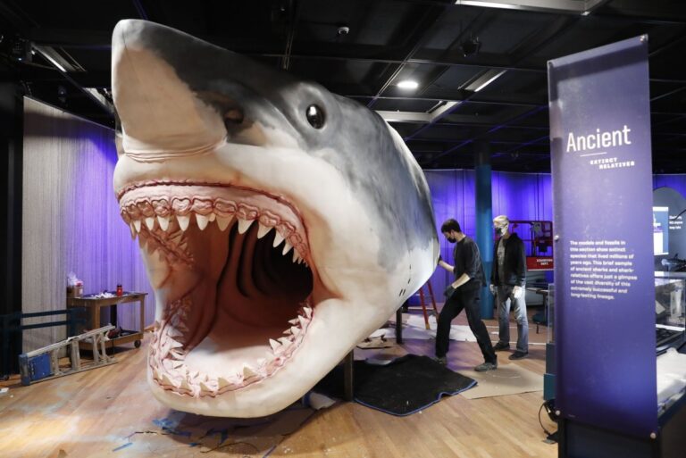 Shark-Week-Five-times-sharks-swam-into-Odd-News-headlines.jpg