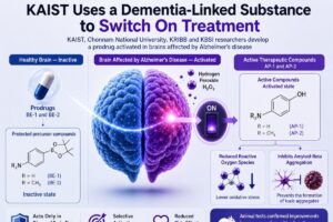 South-Korean-team-uses-brain-oxidant-to-activate-Alzheimers-prodrug.jpg