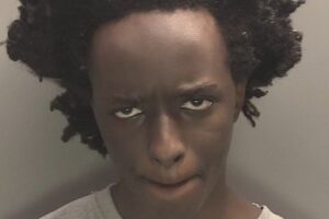Southport-killer-charged-with-aggravated-battery-weapons-offenses.jpg