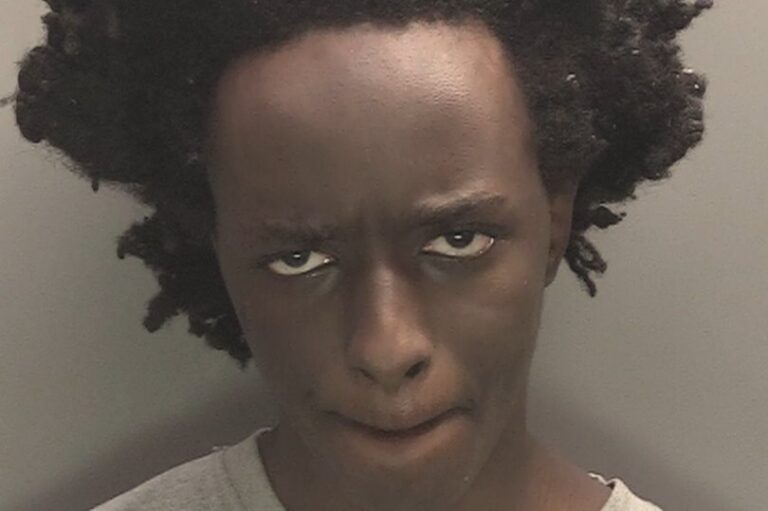 Southport-killer-charged-with-aggravated-battery-weapons-offenses.jpg