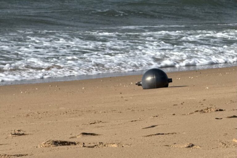 Strange-black-balls-found-in-Queensland-beaches.jpeg